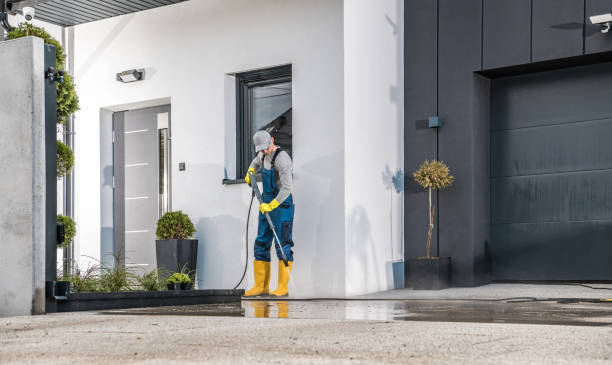 Best Residential Exterior Washing  in Rosend, LA